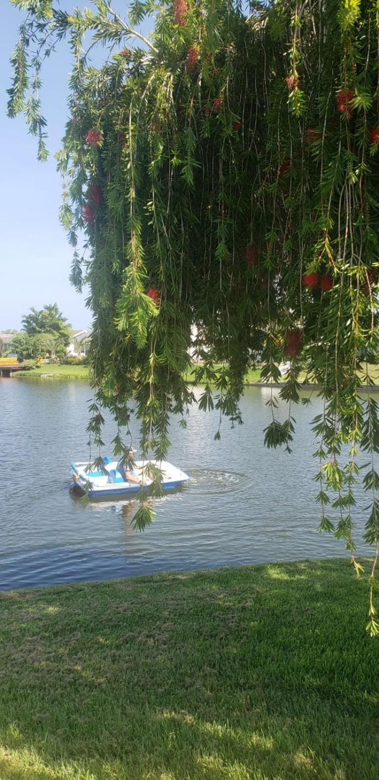 ホリデーNear Clearwater And Tarpon Spring With Water Viewアパートメント エクステリア 写真