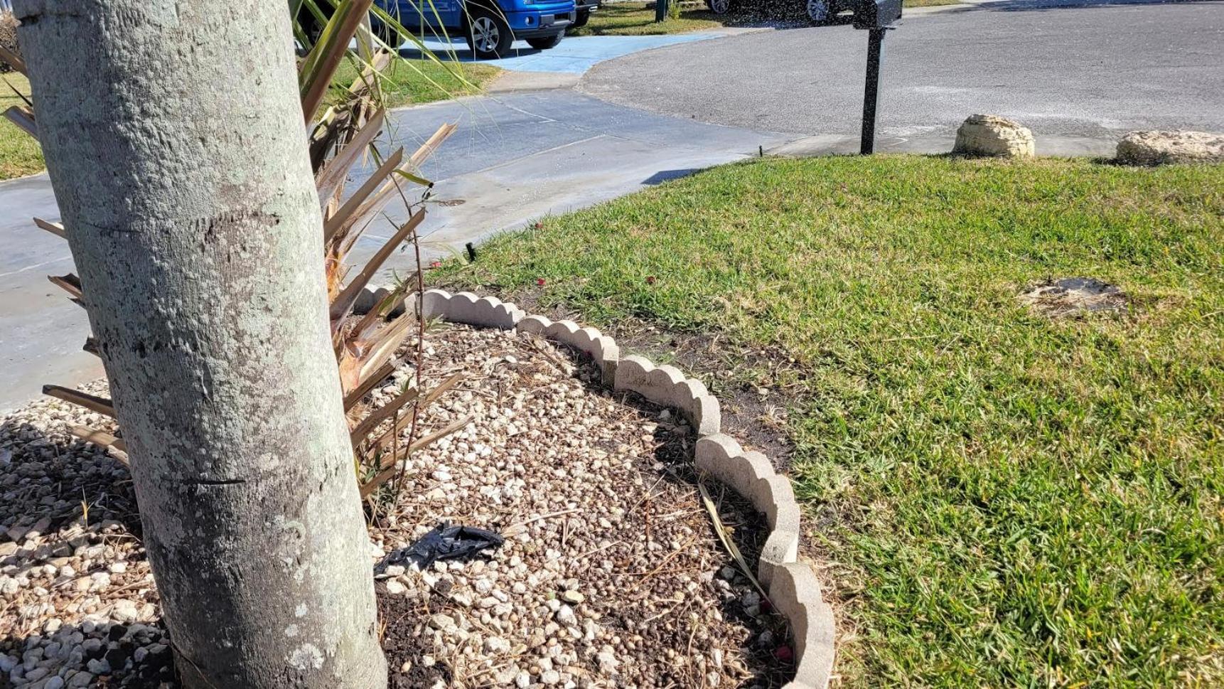 ホリデーNear Clearwater And Tarpon Spring With Water Viewアパートメント エクステリア 写真